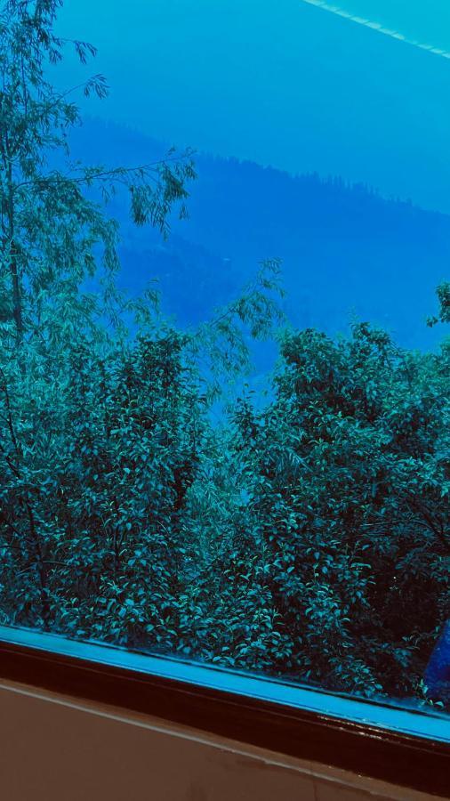 Sana Luxury Cottage, Manali 外观 照片